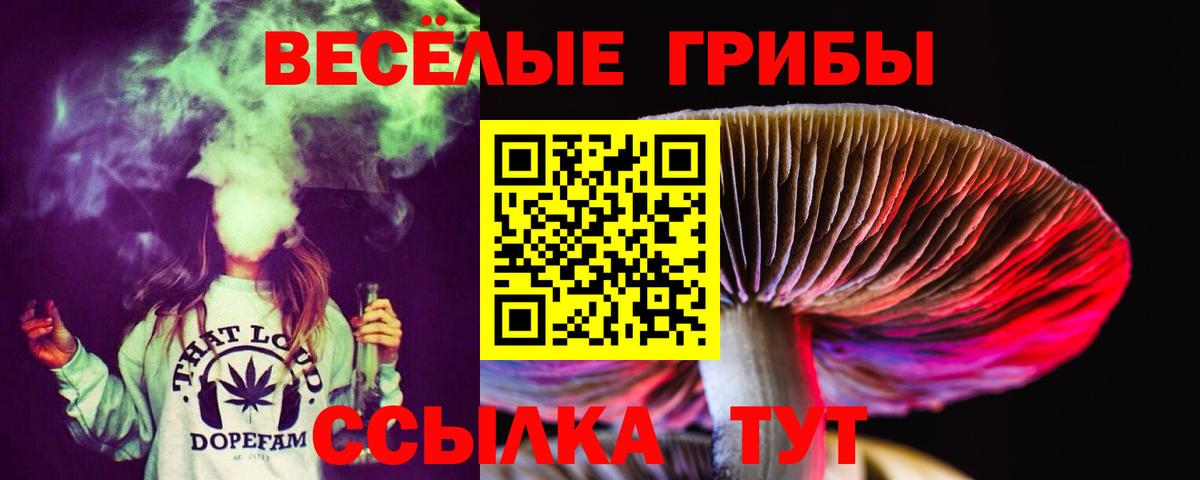 Псилоцибиновые грибы Cubensis  Галлюциногенные грибы Cubensis  Вход с VPN  Гусев 