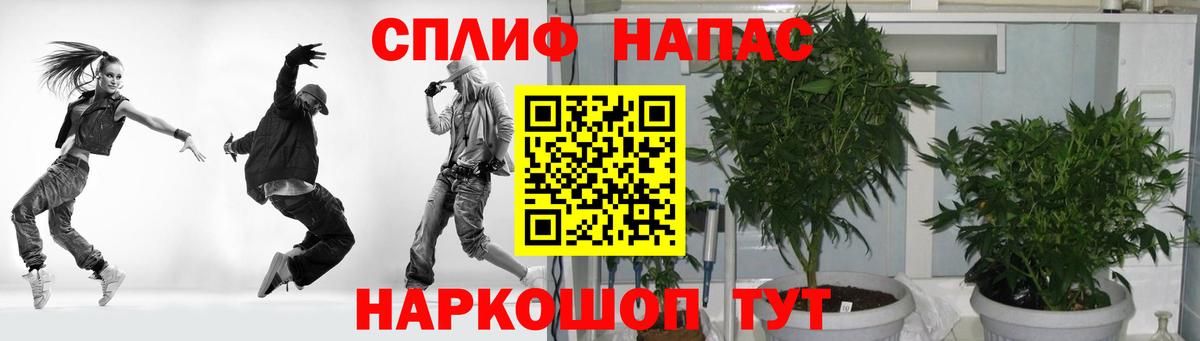 Бошки марихуана AK-47 Гусев